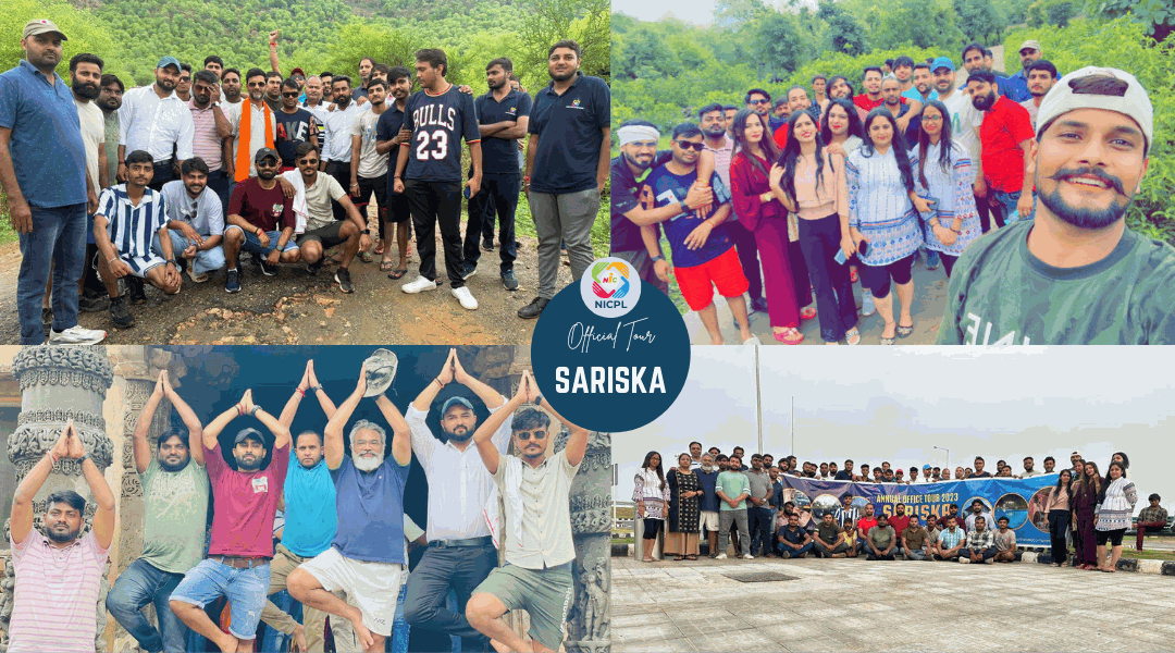 Team Outing — Sariska