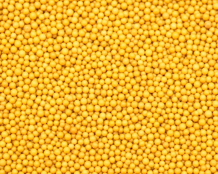 After — mustard seeds