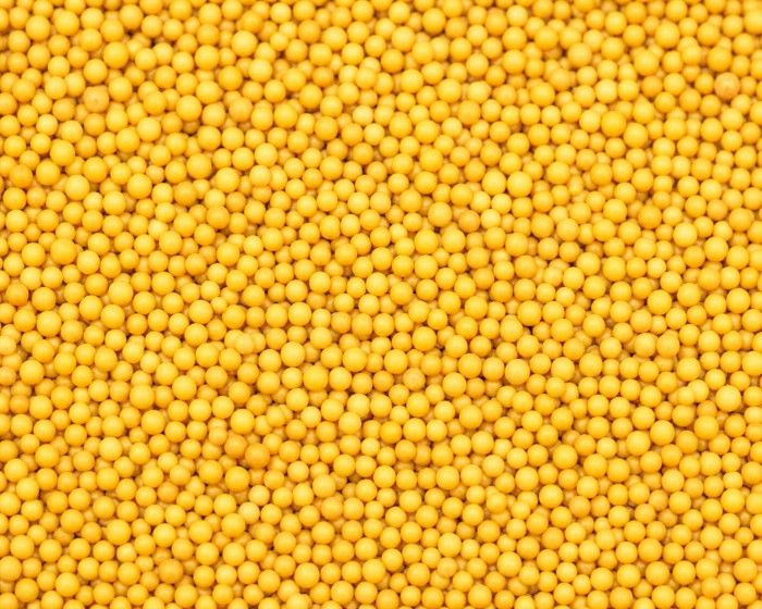 After — mustard seeds