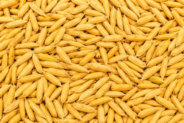 After — rice