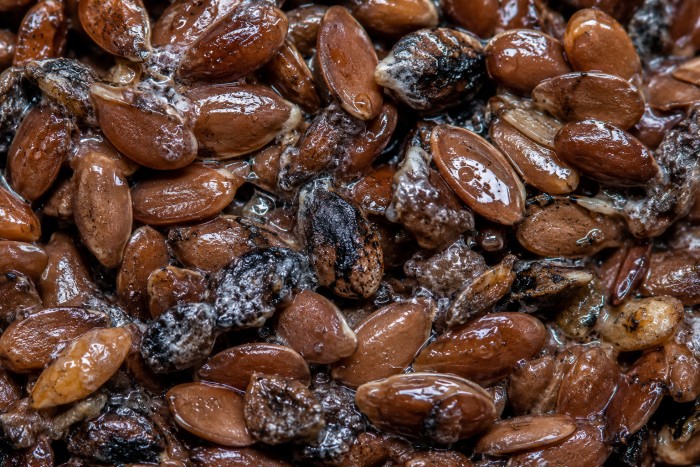 Before — Linseed