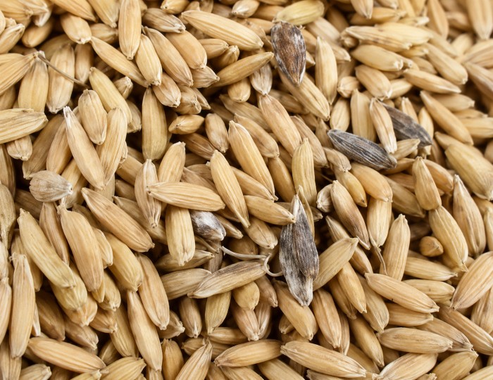 Before — rice