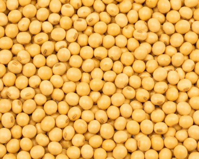 After — Soybean