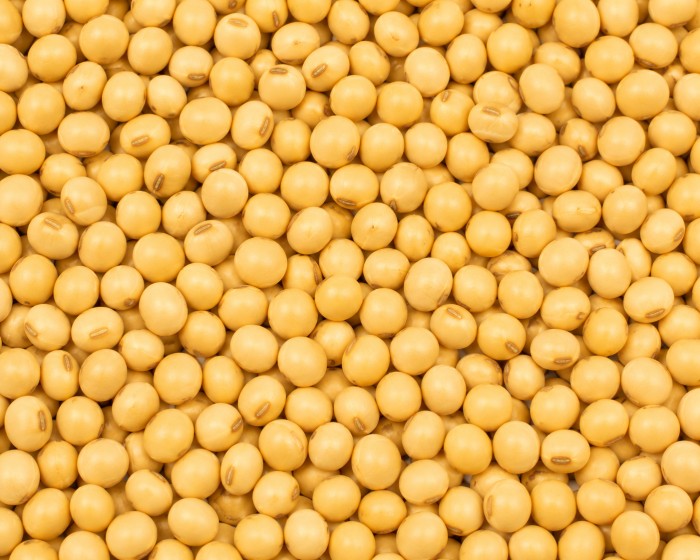 After — Soybean