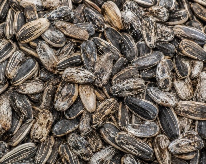 Before — sunflower seeds