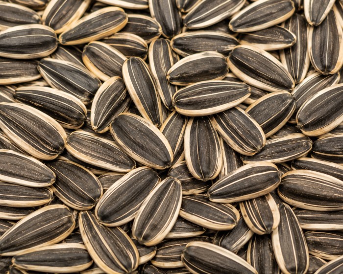 After — sunflower seeds