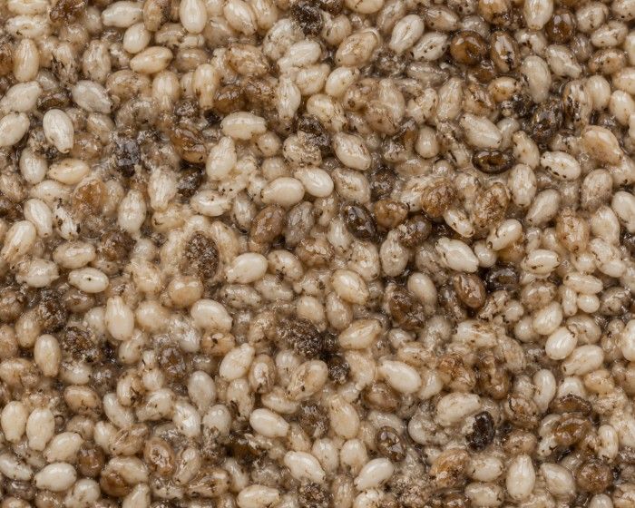 Before — Sesame Seeds
