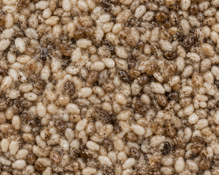 Before — Sesame Seeds