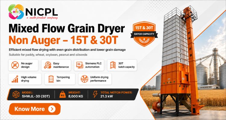 Grain dryers for paddy, maize and wheat