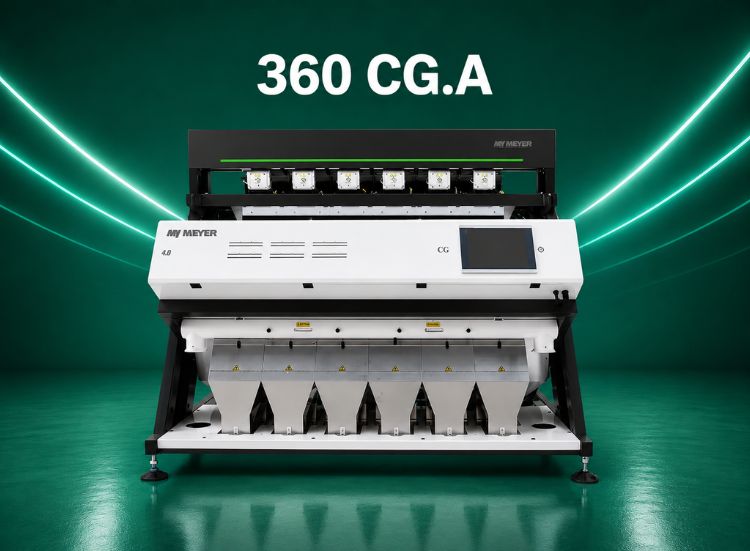 600 Model