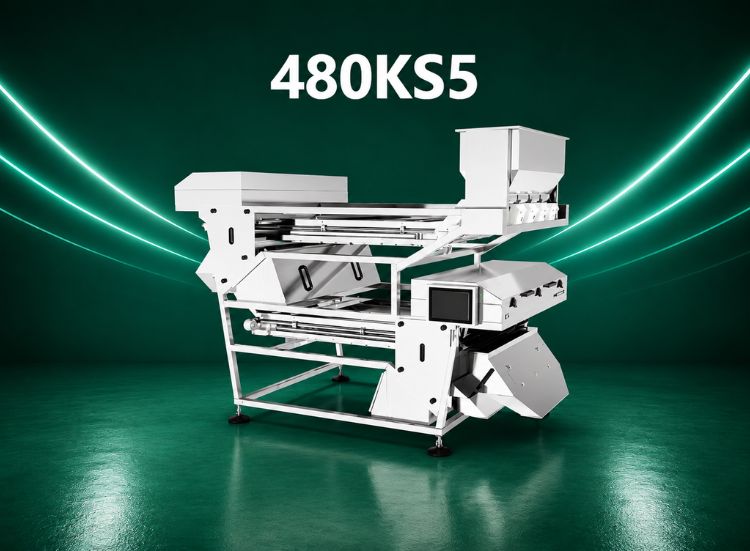 MEYER KS Thinker Standard DI AI
