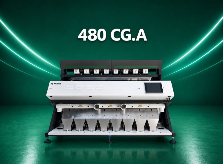780 Model