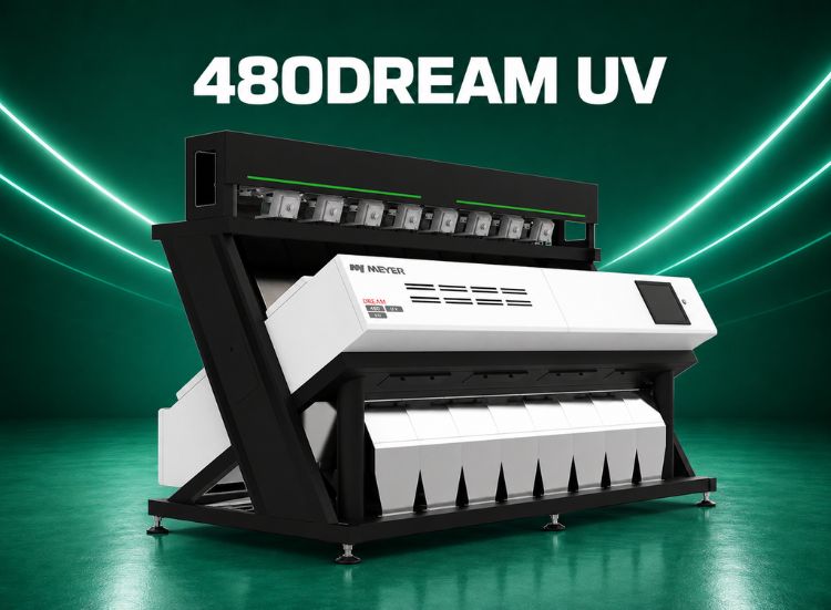 480 DREAM UV