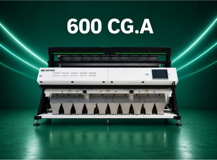 600 CG A