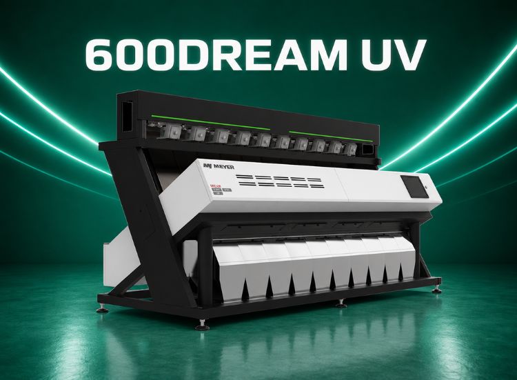 600 GREAM UV