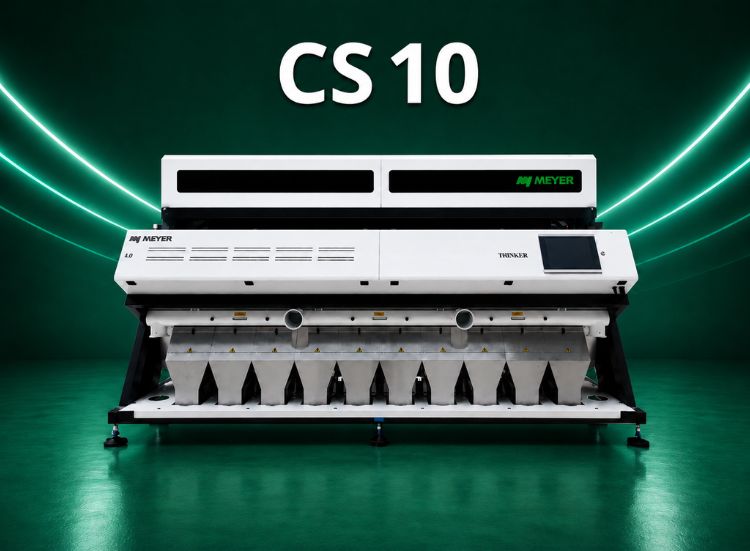 CS 10