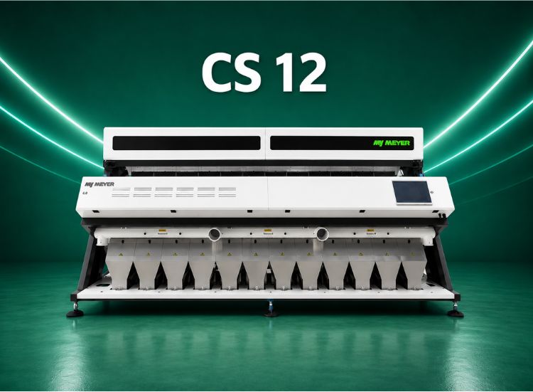 CS 12