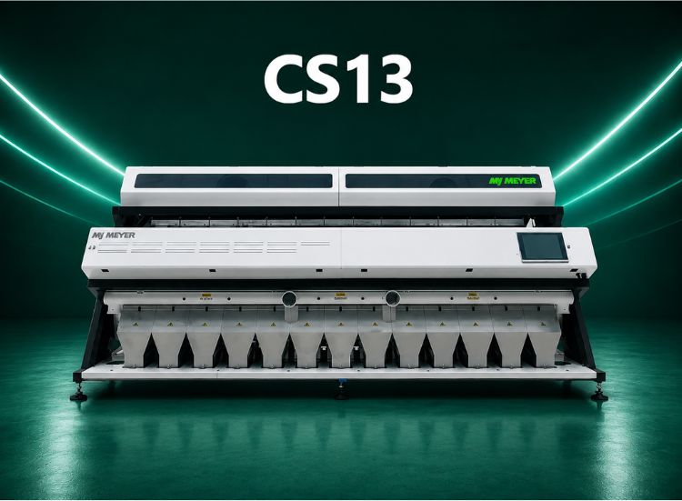 CS 13