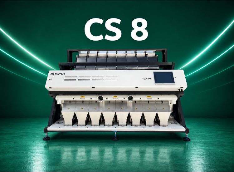 CS 8