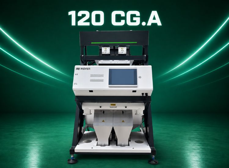 CG Thinker AI For Remove warmholes from big commodity like peanut, rajma and cashew