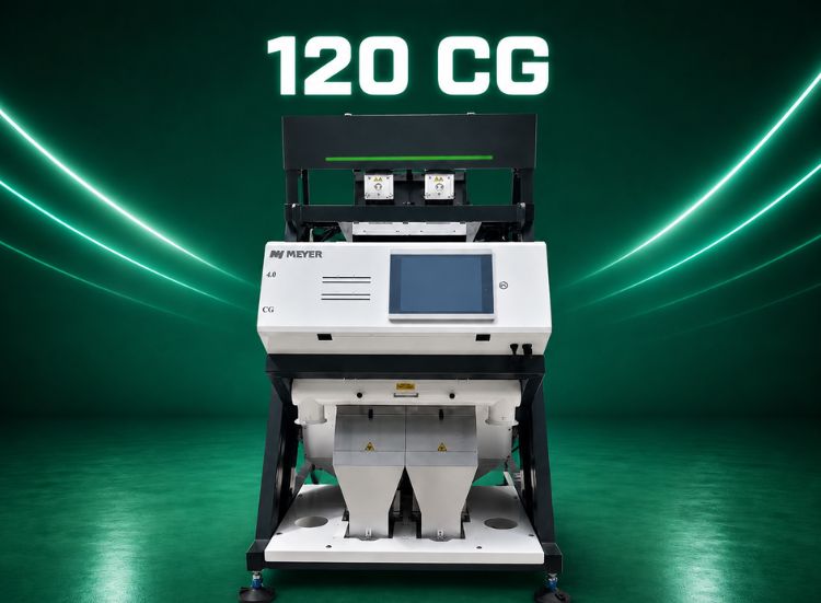 CG Thinker AI For Remove warmholes from big commodity like peanut, rajma and cashew