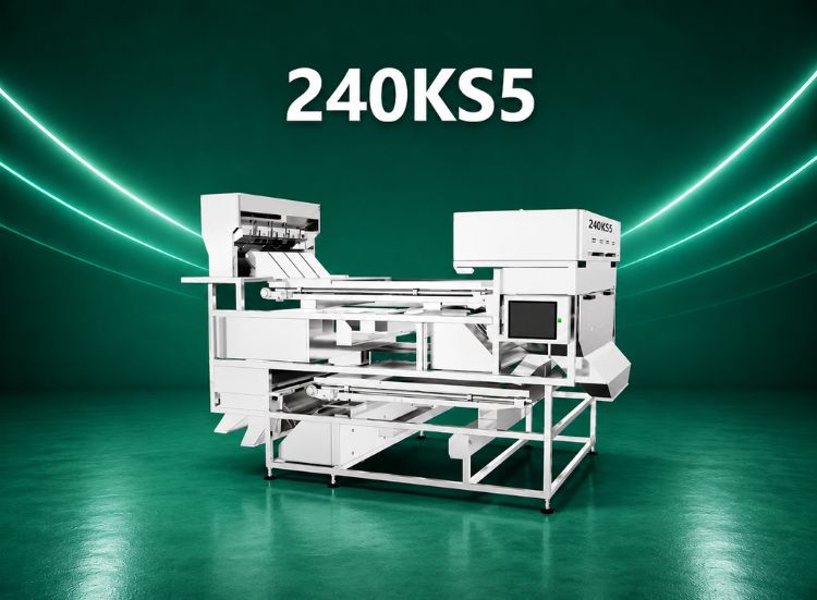 KS Thinker UHD DI AI