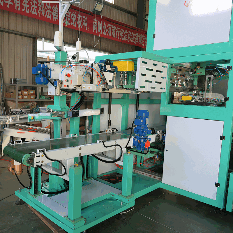 Rice Packing Line Solution — Bagging & Palletizing — view 1