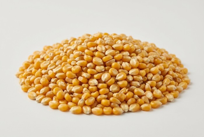 Corn before packing