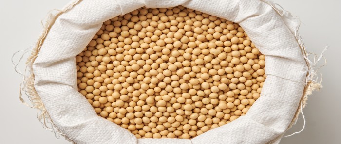 Soyabean before packing