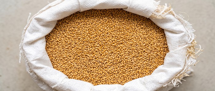 wheat before packing