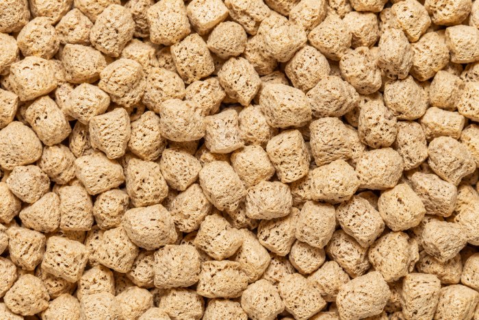 Soyabean Chunks before packing