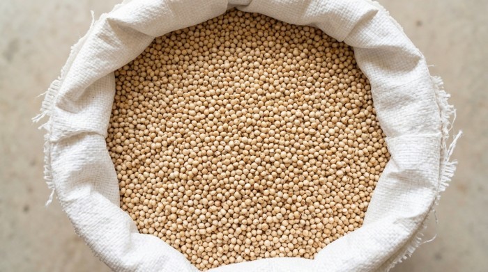sorghum-jowar before packing