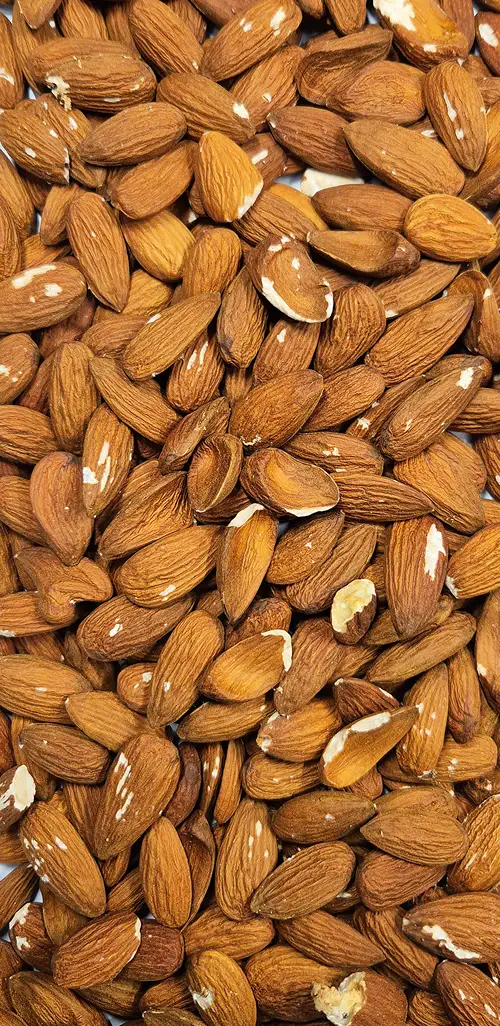 Nuts Input
