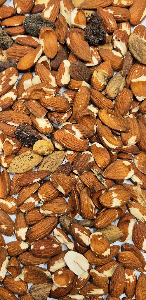 Nuts Reject
