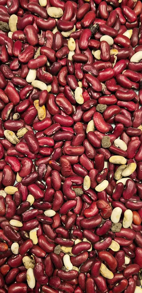 Beans Input