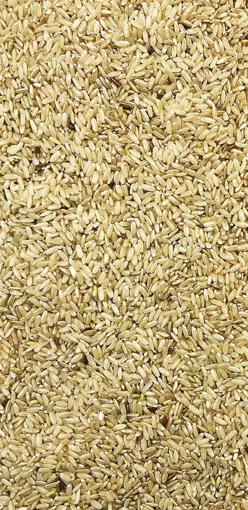 Rice Input