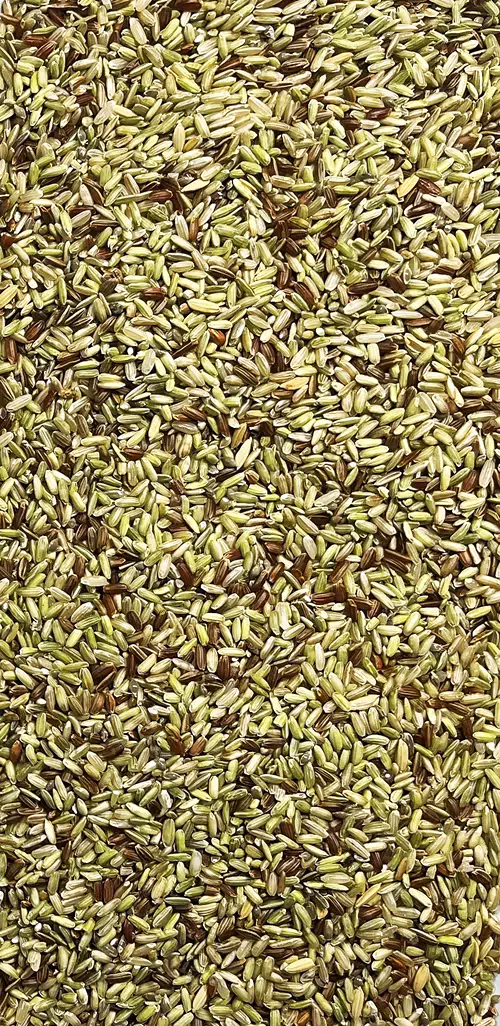 Rice Reject
